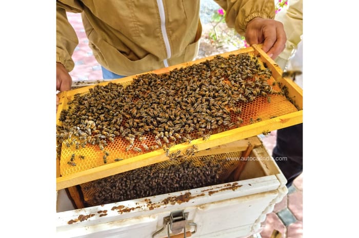 Petrolhead’s paradise: An automotive-themed holiday in Dubai